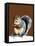 The Grey Squirrel on Burnt Orange, 2020, (Pen and Ink)-Mike Davis-Framed Stretched Canvas