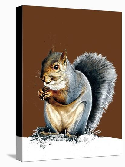The Grey Squirrel on Burnt Orange, 2020, (Pen and Ink)-Mike Davis-Stretched Canvas