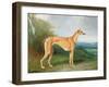 The Greyhound Bitch Lydia-Henry Barraud-Framed Giclee Print