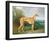 The Greyhound Bitch Lydia-Henry Barraud-Framed Giclee Print