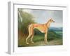 The Greyhound Bitch Lydia-Henry Barraud-Framed Giclee Print