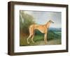 The Greyhound Bitch Lydia-Henry Barraud-Framed Giclee Print