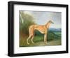 The Greyhound Bitch Lydia-Henry Barraud-Framed Giclee Print