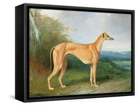 The Greyhound Bitch Lydia-Henry Barraud-Framed Stretched Canvas