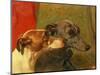 The Greyhounds "Charley" and "Jimmy" in an Interior-John Frederick Herring I-Mounted Giclee Print