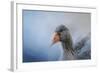 The Greylag Goose-Jai Johnson-Framed Giclee Print