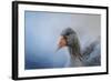 The Greylag Goose-Jai Johnson-Framed Giclee Print