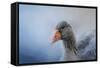 The Greylag Goose-Jai Johnson-Framed Stretched Canvas