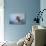 The Greylag Goose-Jai Johnson-Stretched Canvas displayed on a wall