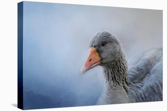 The Greylag Goose-Jai Johnson-Stretched Canvas