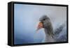 The Greylag Goose-Jai Johnson-Framed Stretched Canvas