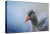 The Greylag Goose-Jai Johnson-Stretched Canvas