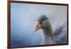 The Greylag Goose-Jai Johnson-Framed Giclee Print