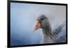 The Greylag Goose-Jai Johnson-Framed Giclee Print