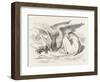 The Griffin Asleep-John Tenniel-Framed Photographic Print