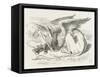 The Griffin Asleep-John Tenniel-Framed Stretched Canvas