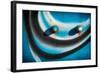 The Grin-Ursula Abresch-Framed Photographic Print