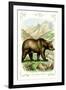 The Grizzly Bear-null-Framed Art Print