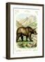 The Grizzly Bear-null-Framed Art Print