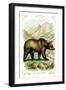 The Grizzly Bear-null-Framed Art Print