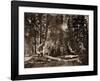 The "Grizzly Giant" - 33 feet diameter - with Galen Clark, Mariposa Grove, Yosemite, California, 18-Carleton Watkins-Framed Art Print