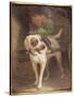 The Grocer's Dog-Henriette Ronner-Knip-Stretched Canvas