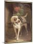 The Grocer's Dog-Henriette Ronner-Knip-Mounted Giclee Print