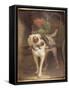 The Grocer's Dog-Henriette Ronner-Knip-Framed Stretched Canvas