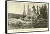 The Grotto Geyser in the Upper Geyser Basin of the Yellowstone National Park-null-Framed Stretched Canvas