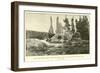 The Grotto Geyser in the Upper Geyser Basin of the Yellowstone National Park-null-Framed Giclee Print