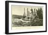 The Grotto Geyser in the Upper Geyser Basin of the Yellowstone National Park-null-Framed Giclee Print