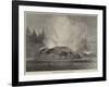 The Grotto Geyser, Montana, North America-null-Framed Giclee Print