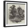 The Grotto in Oatlands Park-null-Framed Giclee Print