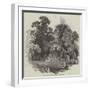 The Grotto in Oatlands Park-null-Framed Giclee Print