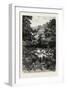 The Grotto of St. Andre Near Nice, France , 1882-null-Framed Giclee Print