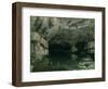 The Grotto of the Loue, 1864-Gustave Courbet-Framed Giclee Print