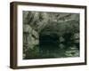 The Grotto of the Loue, 1864-Gustave Courbet-Framed Giclee Print