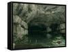 The Grotto of the Loue, 1864-Gustave Courbet-Framed Stretched Canvas