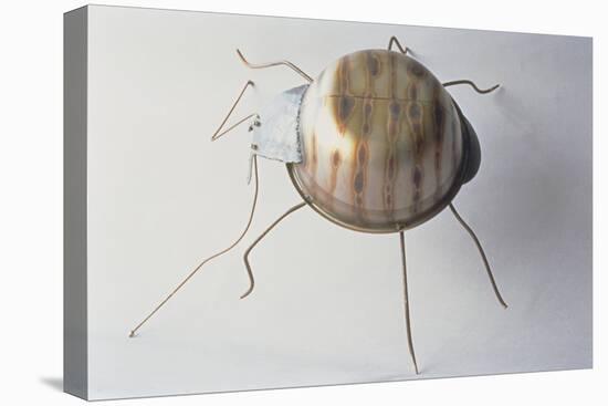 The Ground Beetle, 1995-Lawrie Simonson-Stretched Canvas