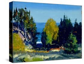 The Grove - Monhegan, 1911 (Oil on Board)-George Wesley Bellows-Stretched Canvas