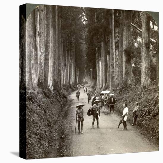 The Groves Were God's First Temples, Avenue of Noble Cryptomerias at Nikko, Japan, 1904-Underwood & Underwood-Stretched Canvas