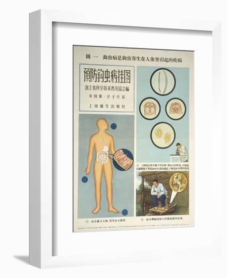 The Growth and Spread of Hookworms-null-Framed Art Print