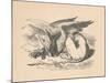 'The Gryphon asleep in the sun', 1889-John Tenniel-Mounted Premium Giclee Print