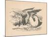 'The Gryphon asleep in the sun', 1889-John Tenniel-Mounted Giclee Print