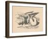 'The Gryphon asleep in the sun', 1889-John Tenniel-Framed Giclee Print