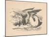 'The Gryphon asleep in the sun', 1889-John Tenniel-Mounted Giclee Print