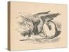 'The Gryphon asleep in the sun', 1889-John Tenniel-Stretched Canvas