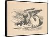 'The Gryphon asleep in the sun', 1889-John Tenniel-Framed Stretched Canvas