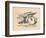 'The Gryphon asleep in the sun', 1889-John Tenniel-Framed Giclee Print