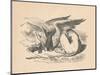 'The Gryphon asleep in the sun', 1889-John Tenniel-Mounted Giclee Print